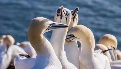 kaiyun sports-线上直播互动，粉丝如何成为“主播”？，主播怎么做粉丝活动